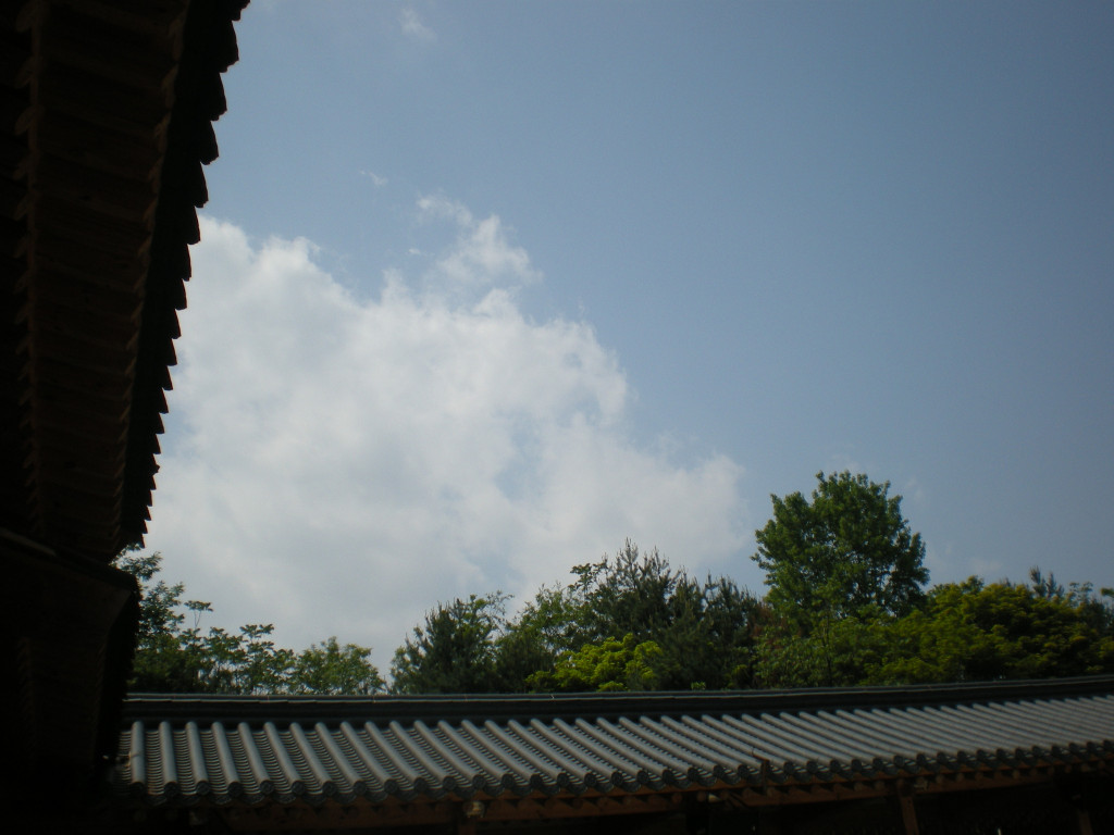 수정됨_DSCN7787.jpg