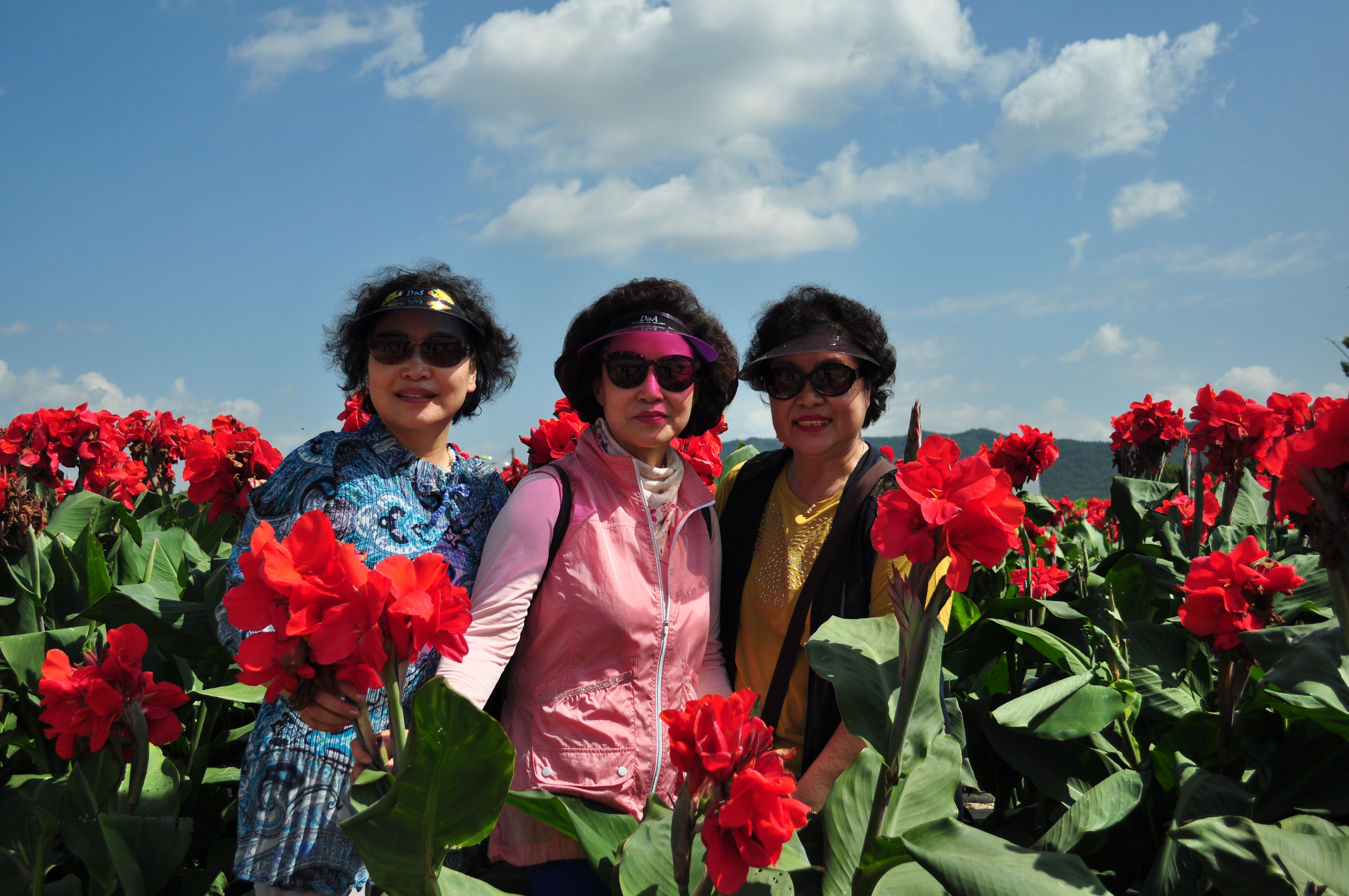 의정부 나리공원 천일홍 023.JPG