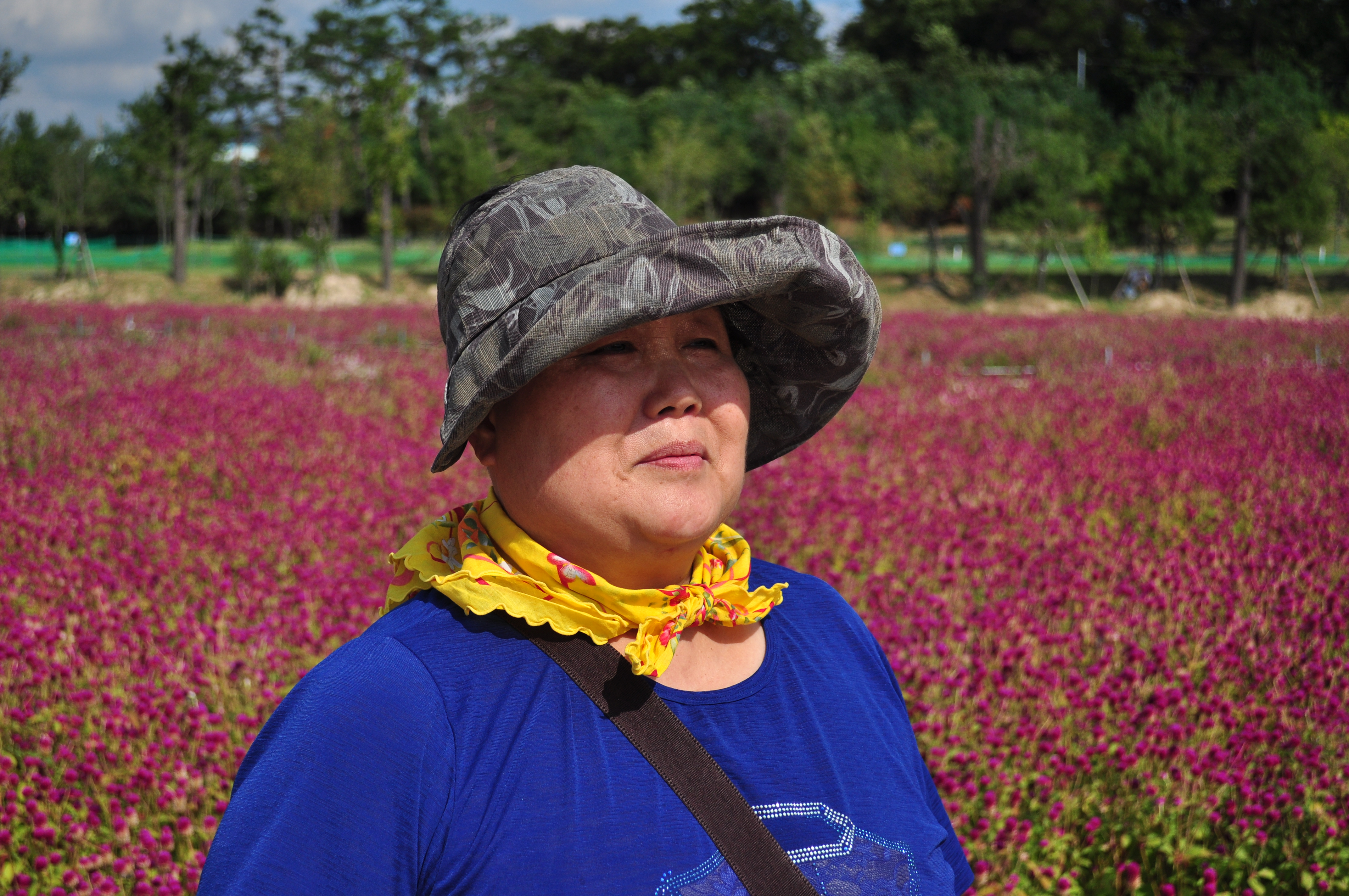 의정부 나리공원 천일홍 161.JPG
