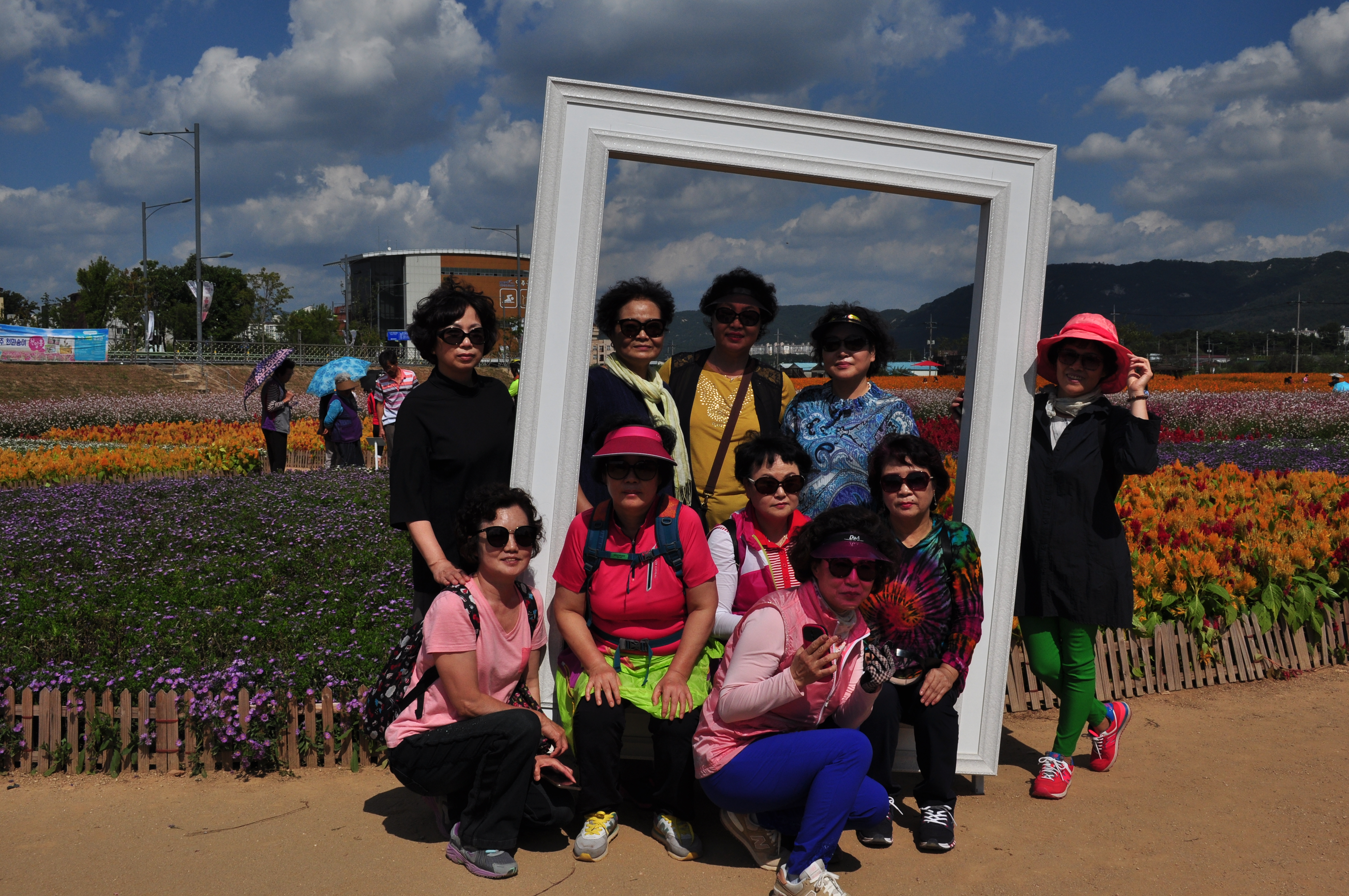 의정부 나리공원 천일홍 111.JPG