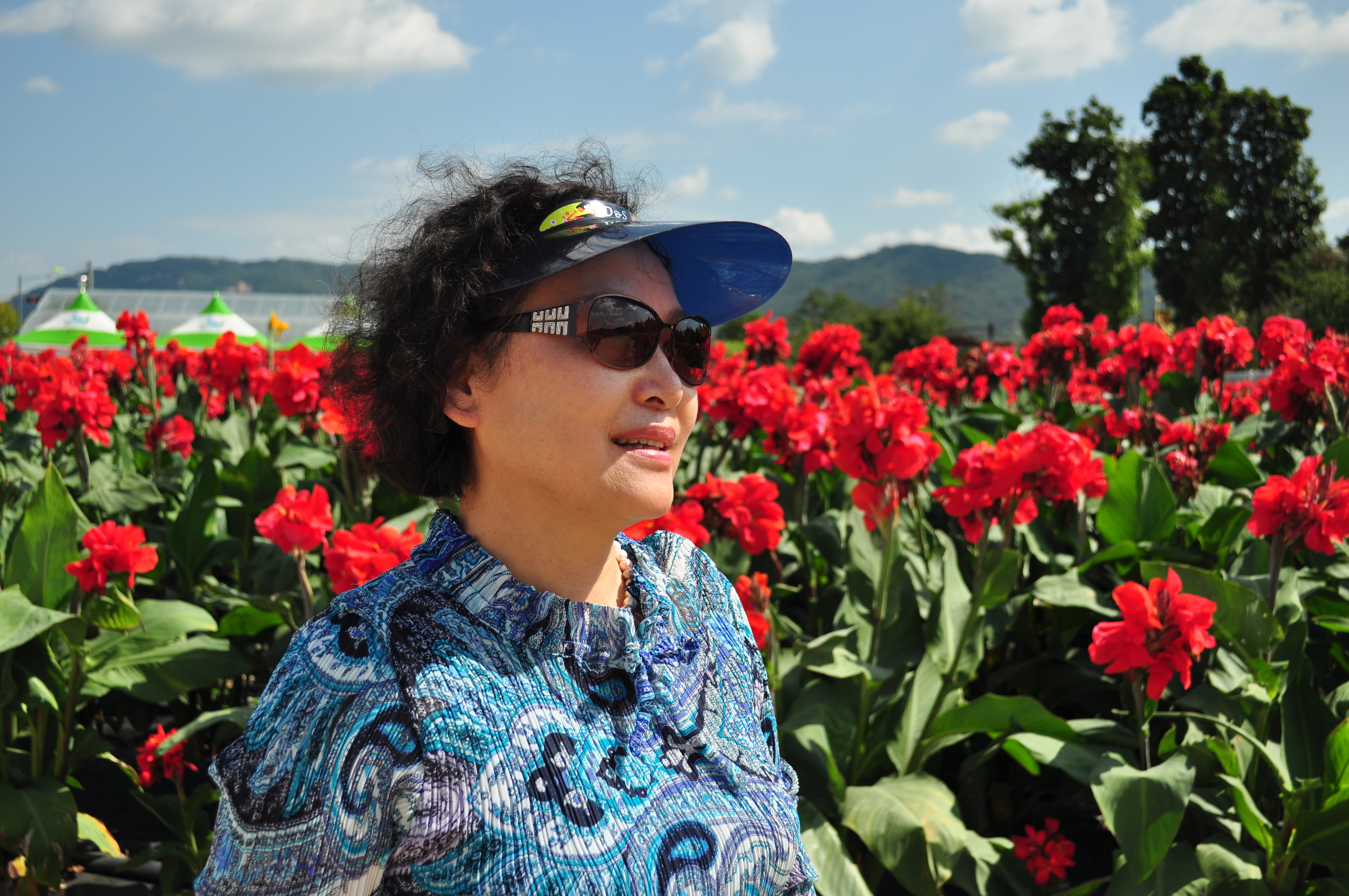 의정부 나리공원 천일홍 027.JPG