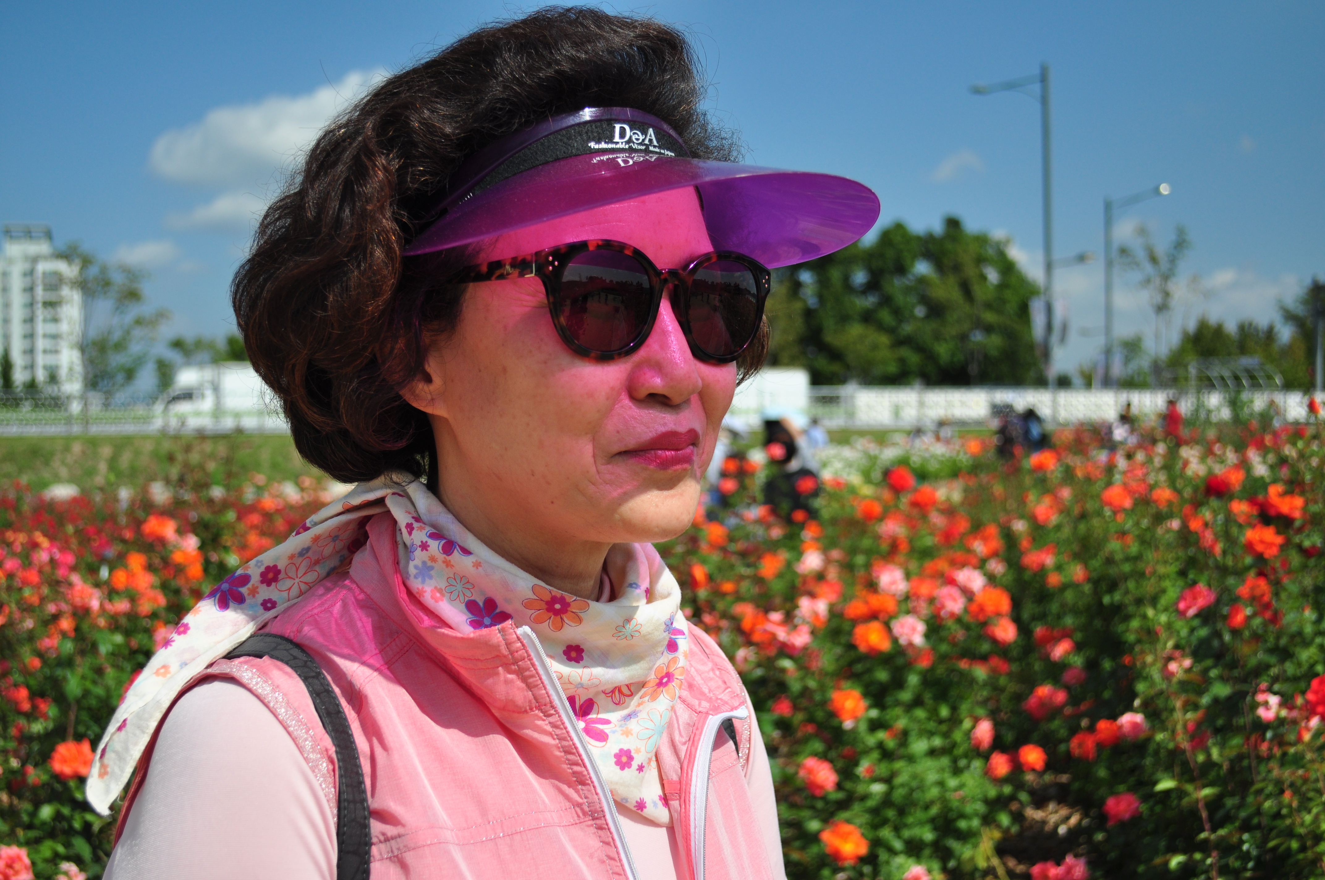 의정부 나리공원 천일홍 011.JPG