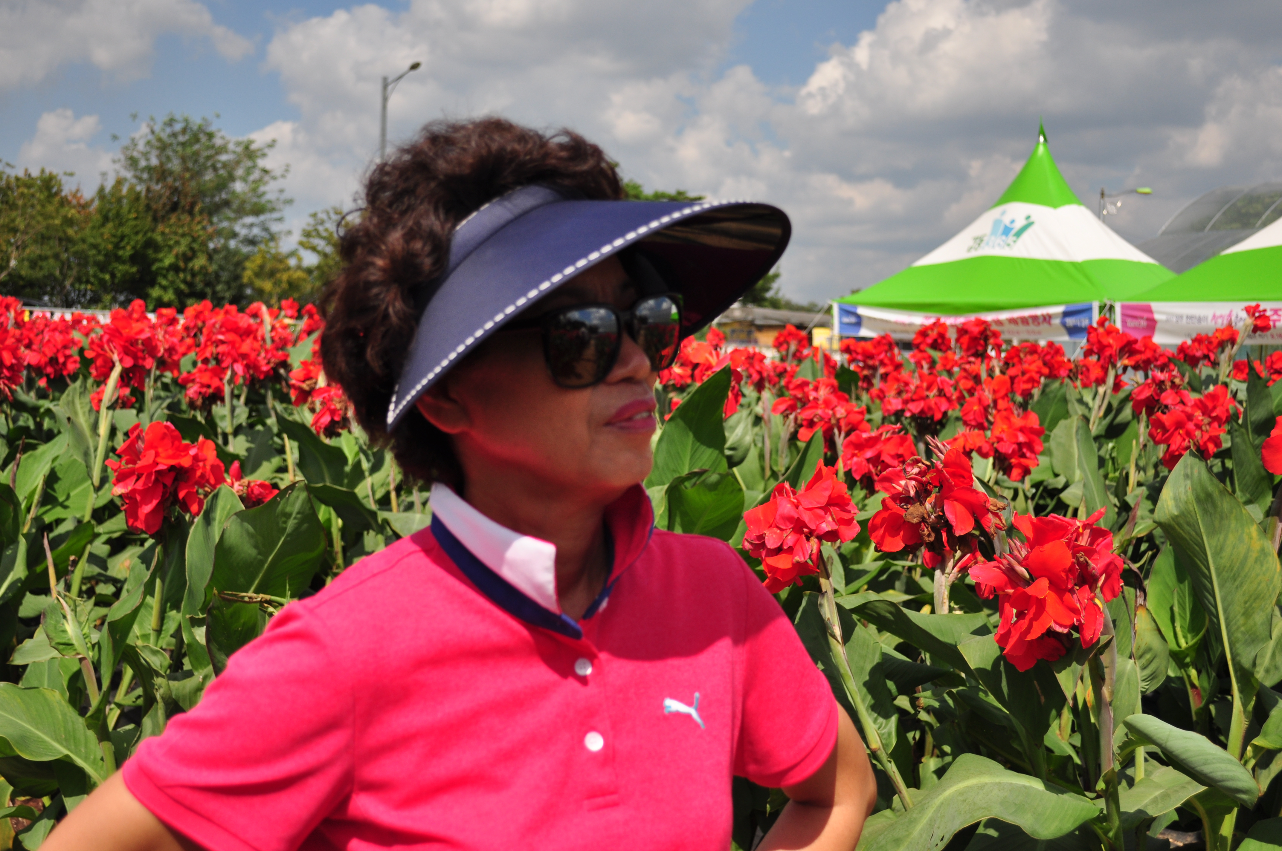 의정부 나리공원 천일홍 097.JPG