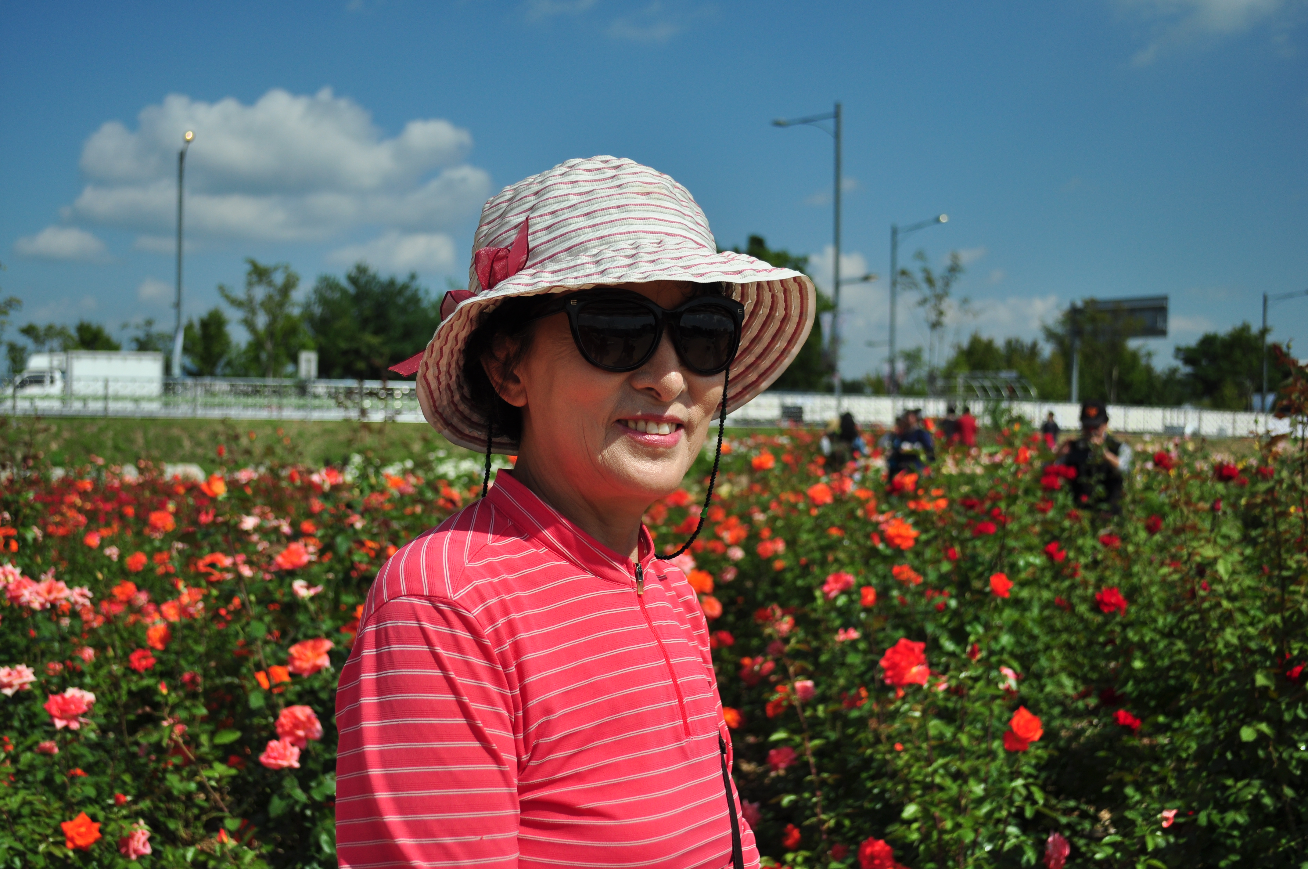 의정부 나리공원 천일홍 014.JPG