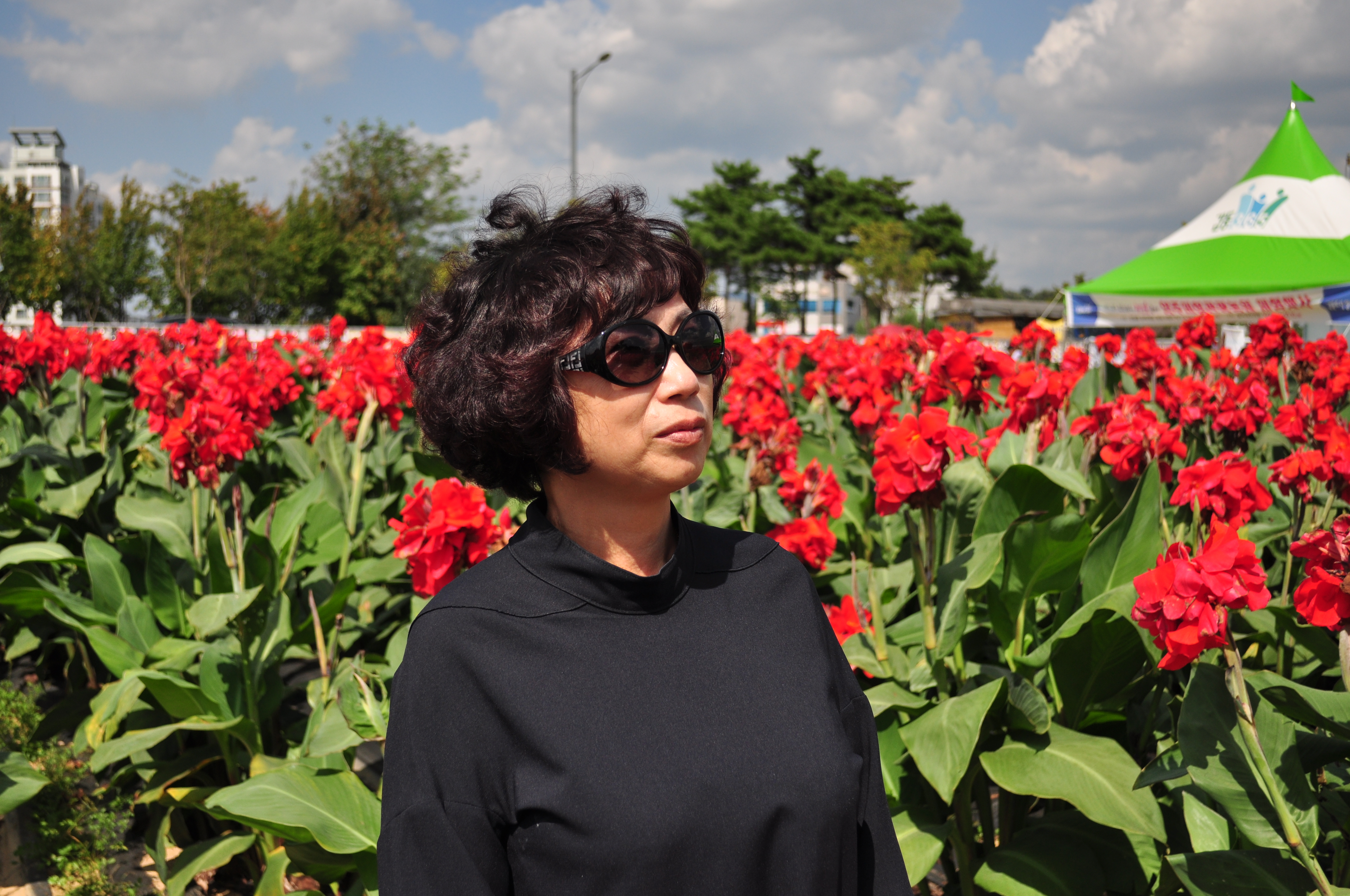 의정부 나리공원 천일홍 099.JPG