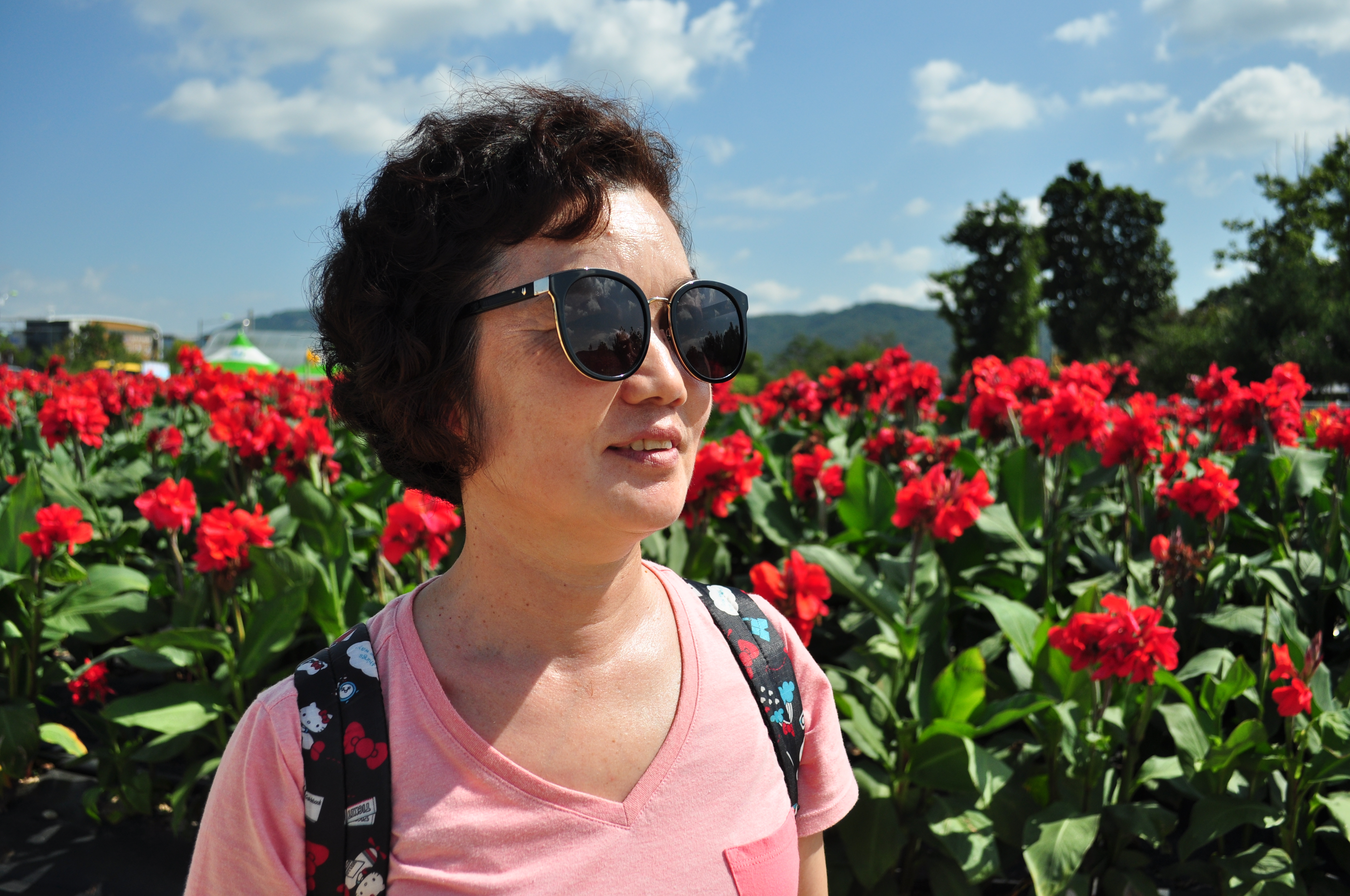 의정부 나리공원 천일홍 021.JPG