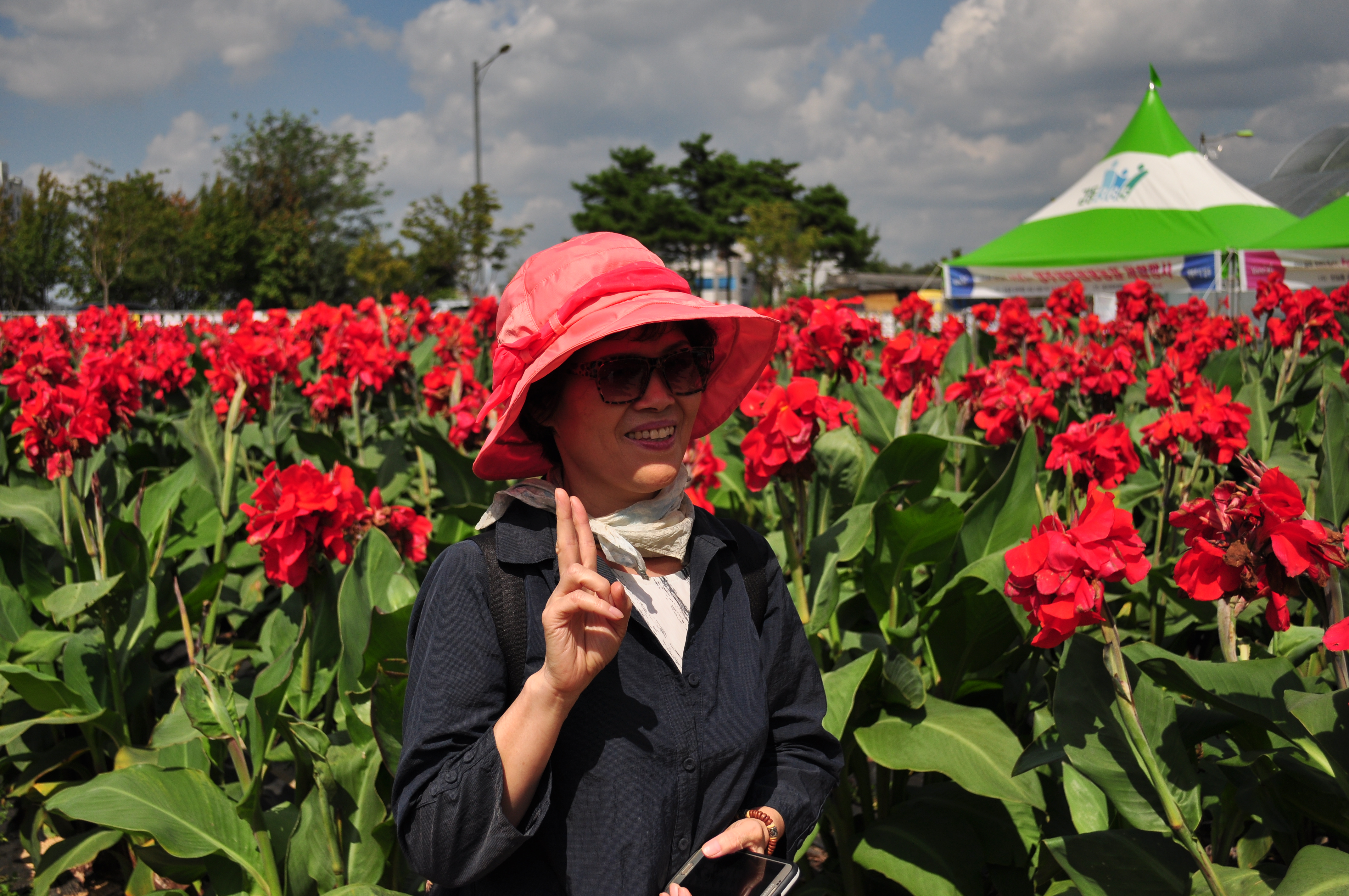 의정부 나리공원 천일홍 101.JPG