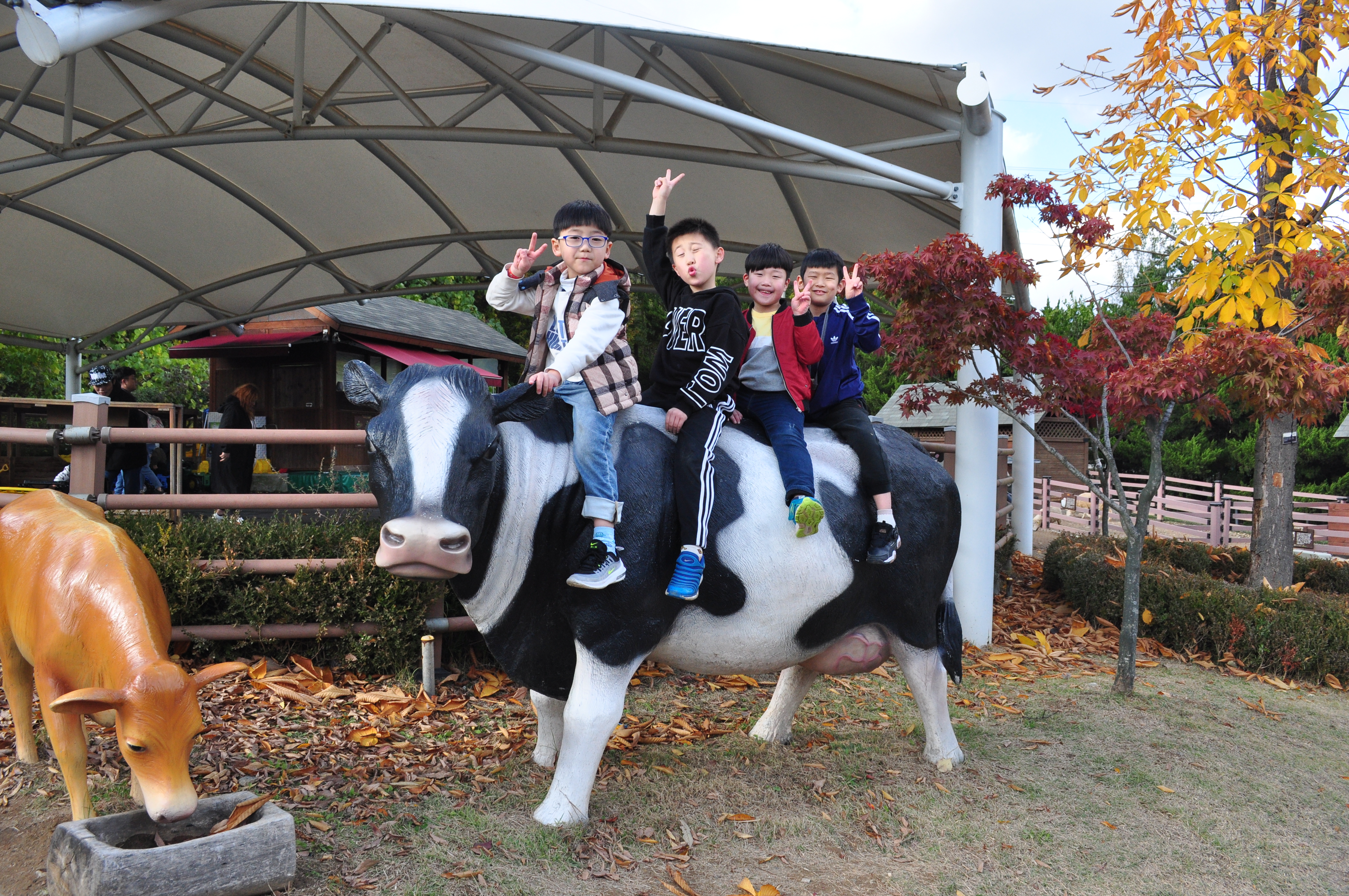 코코몽-청장년부 232.JPG